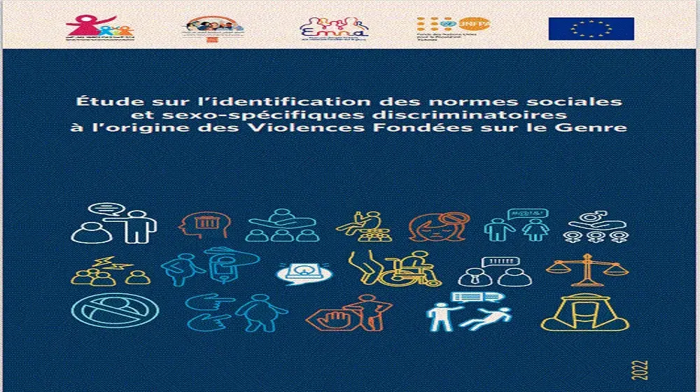 Etude sur les Normes Sociales et Sexo-spécifiques discriminatoires à l'origine des Violences Fondées sur le Genre