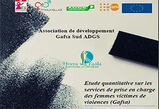 Etude quantitative sur les services de prise en charge des femmes victimes de violence